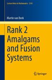 Rank 2 Amalgams and Fusion Systems (eBook, PDF)