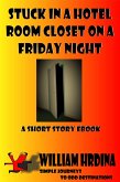 Stuck in a Hotel Room Closet on a Friday Night (Simple Journeys to Odd Destinations, #14) (eBook, ePUB)
