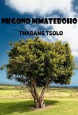 Nkgono Mmateboho (eBook, ePUB)
