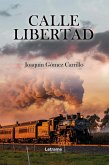Calle libertad (eBook, ePUB)