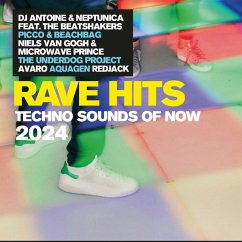 Cover Rave Hits 2024 - Techno Sounds Of Now