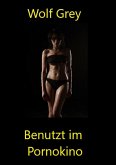 Benutzt im Pornokino (eBook, ePUB)