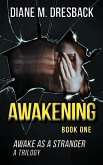 Awakening (Awake As A Stranger Trilogy Book 1) (eBook, ePUB)