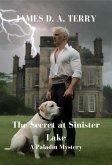 The Secret at Sinister Lake (The Paladin Mysteries, #1) (eBook, ePUB)
