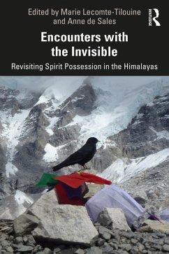 Cover Encounters with the Invisible (eBook, PDF)