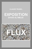 Exposition David Altmejd - Flux (eBook, ePUB)