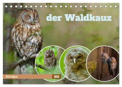 der Waldkauz - Strix Aluco (Tischkalender 2025 DIN A5 quer), CALVENDO Monatskalender - Calvendo;Freund, Andreas