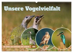 Unsere Vogelvielfalt: Ein Schatz zum Entdecken und Schützen (Wandkalender 2025 DIN A2 quer), CALVENDO Monatskalender