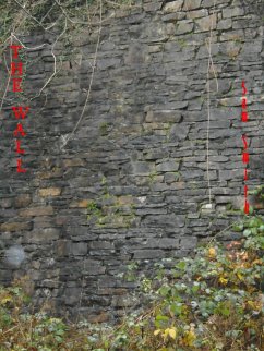 Cover The Wall (eBook, ePUB)