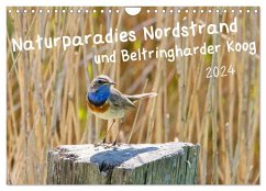 Naturparadies Nordstrand und Beltringharder Koog (Wandkalender 2025 DIN A4 quer), CALVENDO Monatskalender