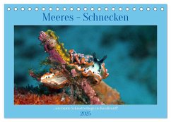 Meeres-Schnecken (Tischkalender 2025 DIN A5 quer), CALVENDO Monatskalender - Calvendo;Niemann, Ute