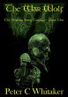 The War Wolf (The Sorrow Song Trilogy,... - Bild 1