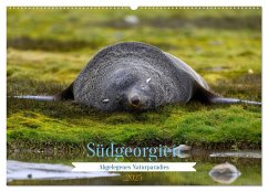 Südgeorgien - Abgelegenes Naturparadies (Wandkalender 2025 DIN A2 quer), CALVENDO Monatskalender - Calvendo;Jürs, Thorsten