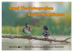 Zwei Tierfotografen Zwölf Highlights (Wandkalender 2025 DIN A3 quer), CALVENDO Monatskalender