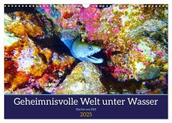 Geheimnisvolle Welt unter Wasser - Nachts am Riff (Wandkalender 2025 DIN A3 quer), CALVENDO Monatskalender