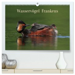 Wasservögel Frankens (hochwertiger Premium Wandkalender 2025 DIN A2 quer), Kunstdruck in Hochglanz - Calvendo;Bachmeier, Günter