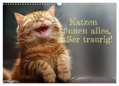 Katzen können alles, außer traurig. (Wandkalender 2025 DIN A3 quer), CALVENDO Monatskalender - Calvendo;Rolf Skrypzak, KI,, zak-