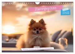 Zwergspitze - kleine Hunde, große Persönlichkeiten (Wandkalender 2025 DIN A4 quer), CALVENDO Monatskalender