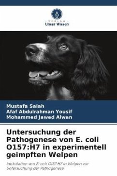 Untersuchung der Pathogenese von E. coli O157:H7 in experimentell geimpften Welpen - Salah, Mustafa;Yousif, Afaf Abdulrahman;Alwan, Mohammed Jawed