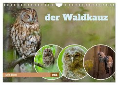 der Waldkauz - Strix Aluco (Wandkalender 2025 DIN A4 quer), CALVENDO Monatskalender
