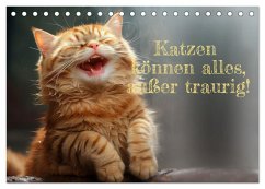 Katzen können alles, außer traurig. (Tischkalender 2025 DIN A5 quer), CALVENDO Monatskalender - Calvendo;Rolf Skrypzak, KI,, zak-