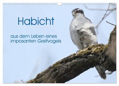 Habicht - aus dem Leben eines imposanten Greifvogels (Wandkalender 2025 DIN A3 quer), CALVENDO Monatskalender