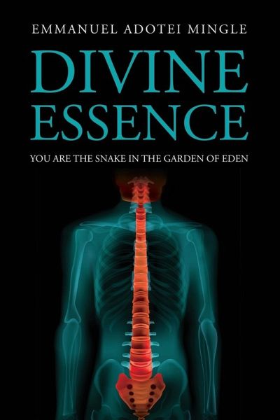 Divine Essence Divine Essence