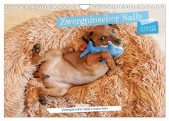 Zwergpinscher Sally¿s erstes Jahr (Wandkalender 2025 DIN A4 quer), CALVENDO Monatskalender