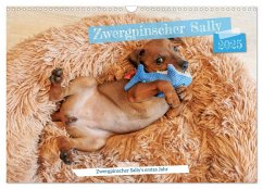 Zwergpinscher Sally¿s erstes Jahr (Wandkalender 2025 DIN A3 quer), CALVENDO Monatskalender