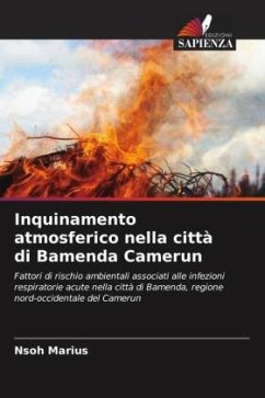 Inquinamento atmosferico nella città di Bamenda Camerun - Marius, Nsoh