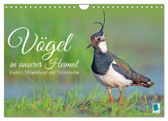 Vögel in unserer Heimat: Kiebitz, Wiedehopf und Turteltaube (Wandkalender 2025 DIN A4 quer), CALVENDO Monatskalender