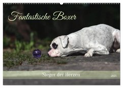 Fantastische Boxer - Sieger der Herzen (Wandkalender 2025 DIN A2 quer), CALVENDO Monatskalender