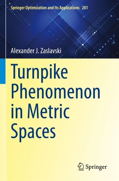 Turnpike Phenomenon in Metric Spaces - Zaslavski, Alexander J.