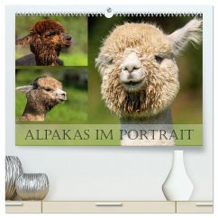 Alpakas im Portrait (hochwertiger Premium Wandkalender 2025 DIN A2 quer), Kunstdruck in Hochglanz