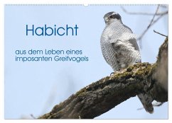 Habicht - aus dem Leben eines imposanten Greifvogels (Wandkalender 2025 DIN A2 quer), CALVENDO Monatskalender