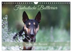 Fantastische Bullterrier - Sieger im Herzen (Wandkalender 2025 DIN A4 quer), CALVENDO Monatskalender