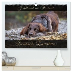 Jagdhund im Portrait - Deutsch Langhaar (hochwertiger Premium Wandkalender 2025 DIN A2 quer), Kunstdruck in Hochglanz