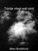 Trijntje vliegt wat rond (De avonturen van Trijntje, #3) (eBook, ePUB)