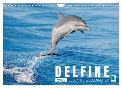 Delfine: Elegante Wellenreiter (Wandkalender 2025 DIN A4 quer), CALVENDO Monatskalender