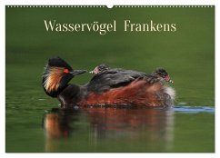 Wasservögel Frankens (Wandkalender 2025 DIN A2 quer), CALVENDO Monatskalender
