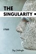 The Singularity (eBook, ePUB) - Bild 1