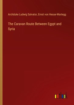 The Caravan Route Between Egypt and Syria