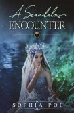 A Scandalous Encounter (Naughty Fairytale Series, #10) (eBook, ePUB)