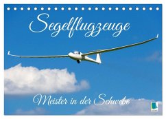 Meister in der Schwebe: Segelflugzeuge (Tischkalender 2025 DIN A5 quer), CALVENDO Monatskalender