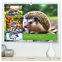 Niedliche Igel (hochwertiger Premium Wandkalender 2025 DIN A2 quer), Kunstdruck in Hochglanz