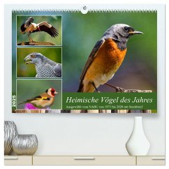 Heimische Vögel des Jahres (hochwertiger Premium Wandkalender 2025 DIN A2 quer), Kunstdruck in Hochglanz