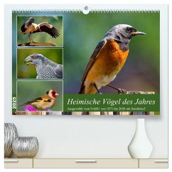 Heimische Vögel des Jahres (hochwertiger Premium Wandkalender 2025 DIN A2 quer), Kunstdruck in Hochglanz - Calvendo;Kleemann, Claudia