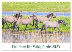Ein Herz für Wildpferde (Wandkalender 2025 DIN A3 quer), CALVENDO Monatskalender