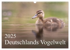 Deutschlands Vogelwelt (Wandkalender 2025 DIN A3 quer), CALVENDO Monatskalender