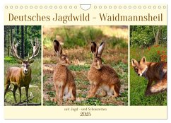 Deutsches Jagdwild - Waidmannsheil (Wandkalender 2025 DIN A4 quer), CALVENDO Monatskalender - Calvendo;Kleemann, Claudia